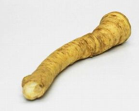 akar horseradish pikeun ngaronjatkeun potency